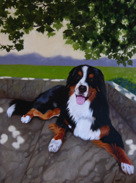 Bernese Mountain Dog
28" x 40"  oil
(sold)
